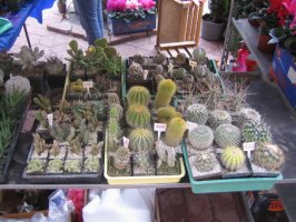 img_2614_resize.jpg