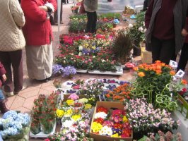 img_2617_resize.jpg
