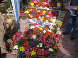 img_2620_resize.jpg