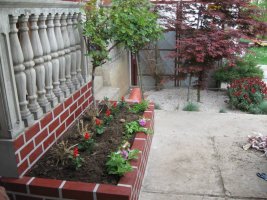 img_3074.jpg