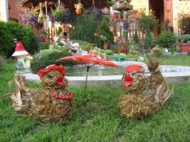 img_3333.jpg