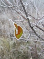 img_3434.jpg