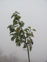 img_3435.jpg