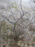 img_3438.jpg