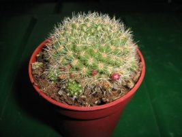 img_3577.jpg