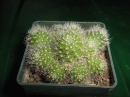 img_3580.jpg