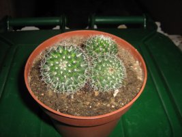 img_3588.jpg