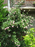 img_3673.jpg