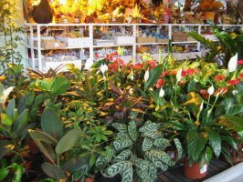img_3738.jpg