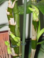 img_3957.1.jpg