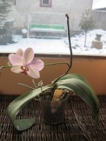 img_4026.jpg