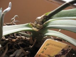 img_4029.jpg
