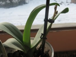 img_4033.jpg