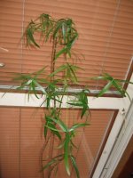 img_4312.jpg