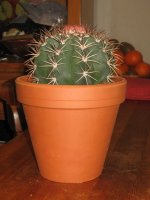 img_4675.jpg
