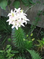img_6247.jpg