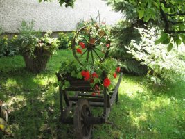 img_6256.jpg