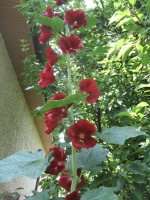 img_6259.jpg