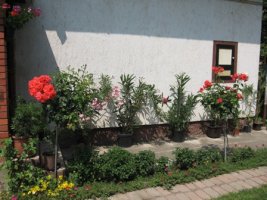 img_6265.jpg