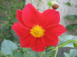 img_6273.jpg