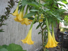 img_6274.jpg