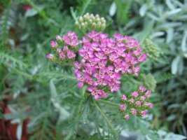 img_6281.jpg