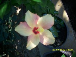 img_6360_resize.jpg