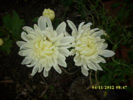 img_6618_resize.jpg