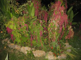 img_6743.jpg