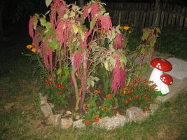 img_6744.jpg