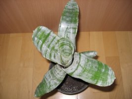 img_7566.jpg
