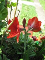 img_8323.jpg