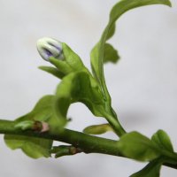 img_8401.jpg