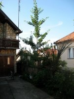 img_9055.jpg