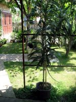 img_9086.jpg