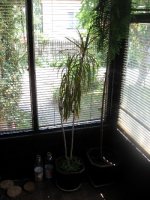img_9095.jpg