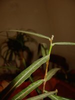 img_9622.jpg