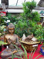 IMGP0798.jpg