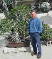 olive tree.jpg