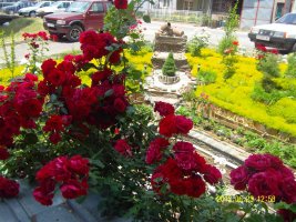 optimized-sdc10352.jpg