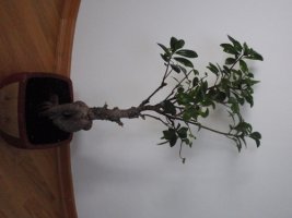 p9240158-2.jpg