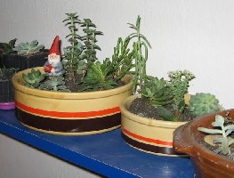 Pic 001-1.jpg