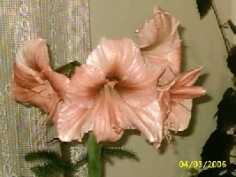 PIC_0014.JPG
