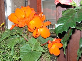 PICT0106.jpg