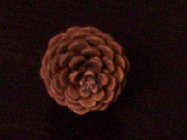Picture-008.jpg