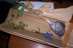 picture 001 (custom).jpg