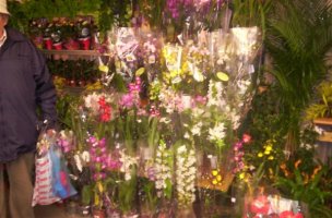 picture 018 (custom).jpg
