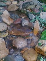picture 026_resize.jpg
