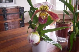 picture 027 (custom).jpg