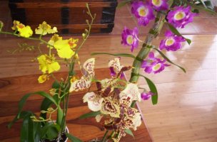 picture 028 (custom).jpg
